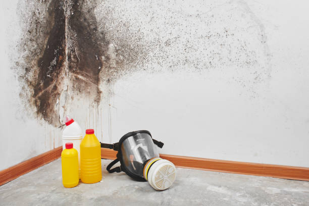 Best Crawl Space Mold Removal  in Shoh, IL
