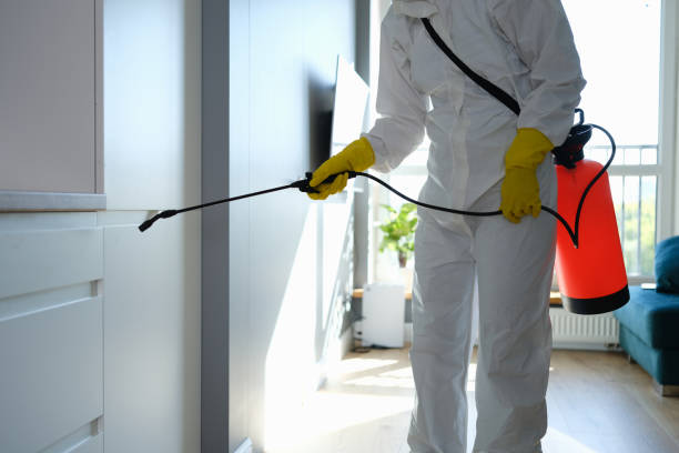 Best Certified Mold Removal  in Shoh, IL