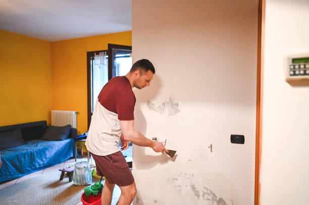 Best Mold Testing and Removal  in Shoh, IL