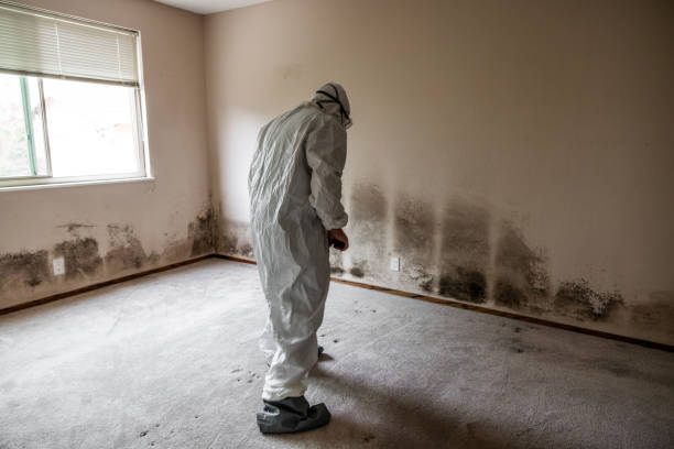 Best Crawl Space Mold Removal  in Shoh, IL